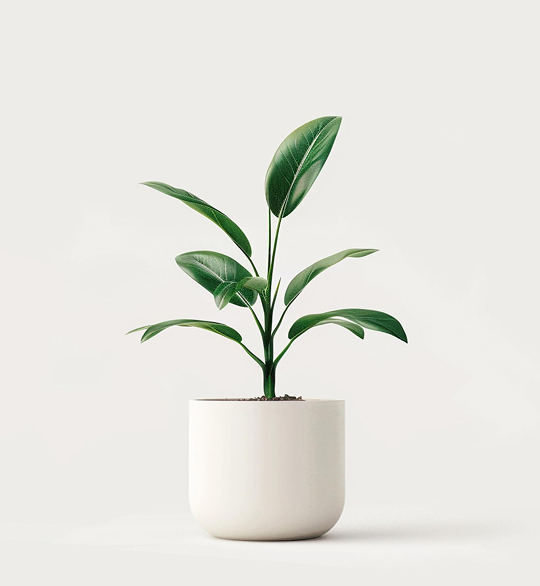 Home product 04